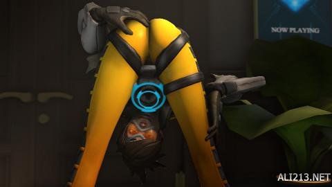 球迷和专家 球迷和专家